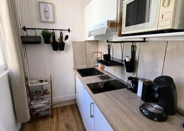 アパート Rioulet 1 - Tres Beau Avec Mezzanine Et Balcon Proche Du Centre De Mae-1124